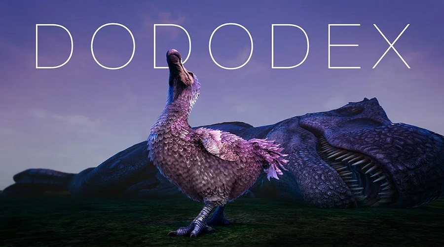 منصة دودو DODO