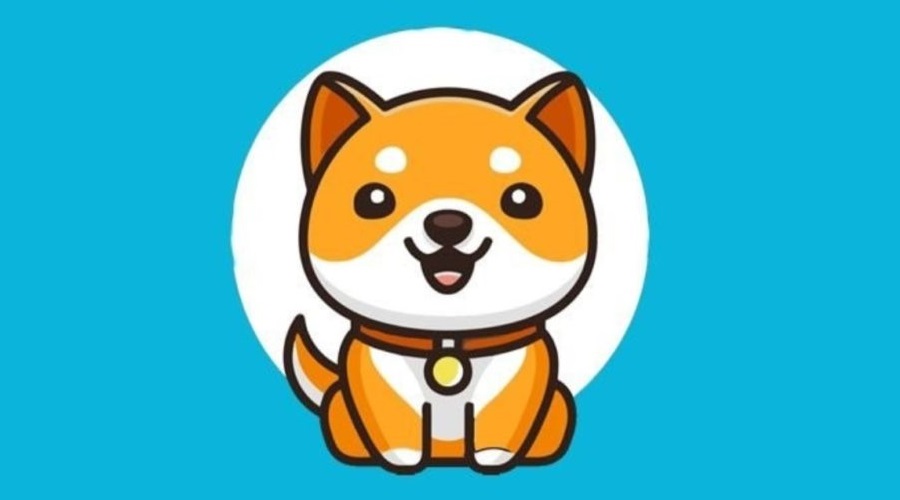 تفاصيل عملة بيبي دوج Baby Doge: سعر ومستقبل بيبي دوج