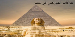 أهم شركات الفوركس في مصر
