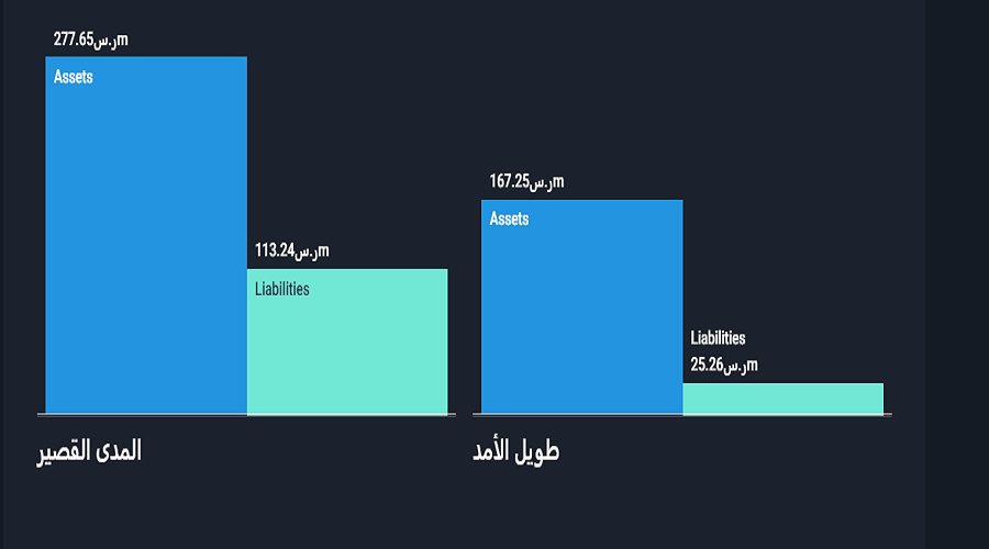 الوضع المالي لشركة الشرق الأوسط للصناعات الدوائية