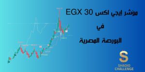 ما هو مؤشر إيجي اكس EGX 30 في البورصة المصرية
