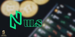 مراجعة مشروع عملة Nuls ومستقبل سعر Nuls