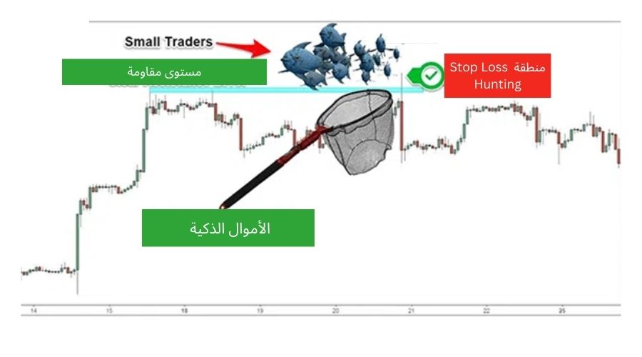 استراتيجية Stop Hunt Recognition