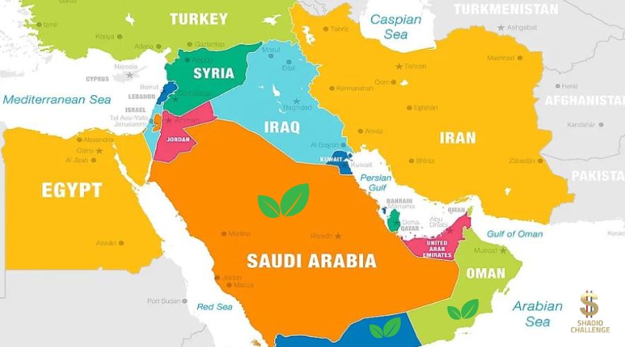 نمو الاستثمار البيئي والاجتماعي والحوكمة ESG في الشرق الأوسط