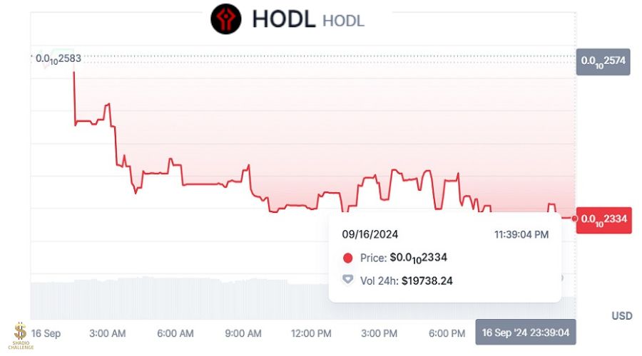 سعر عملة HODL ليوم 16 سبتمبر 2024