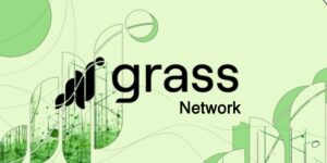 مراجعة Grass Network كم يبلغ سعرها وكيف يمكنك كسب المال منها