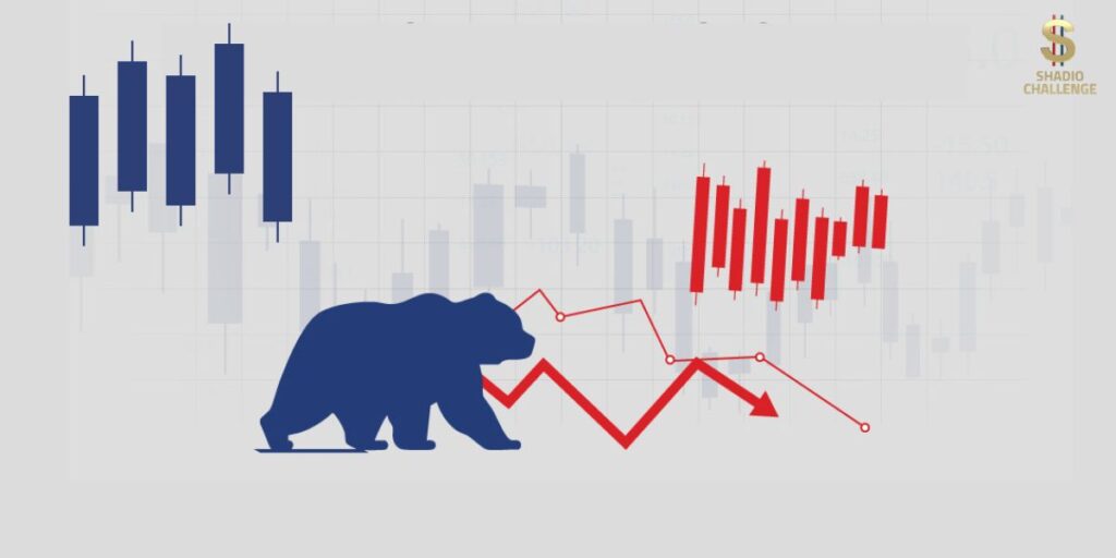 ما المقصود بالسوق الهابط Bear Market علاماته ومراحله