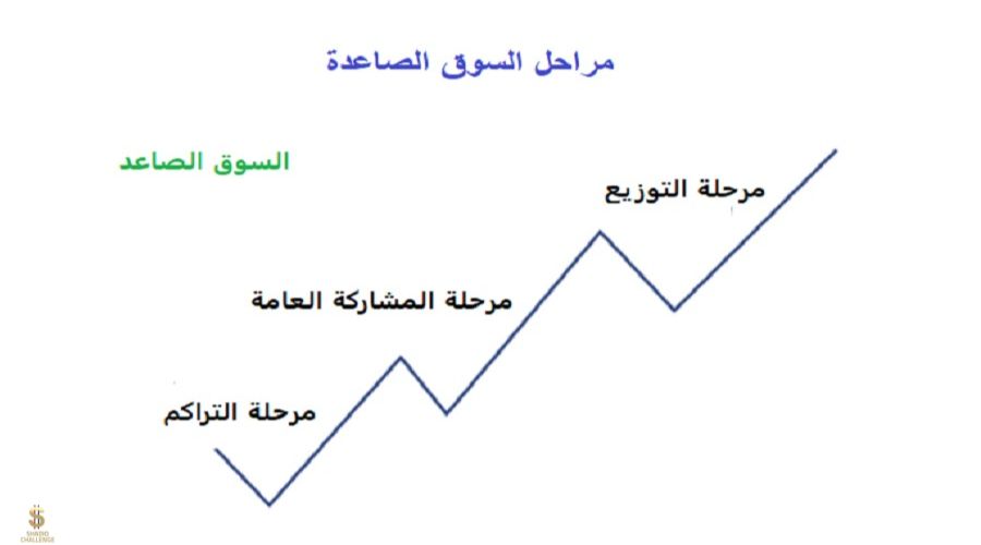 مراحل السوق الصاعدة Bull Market