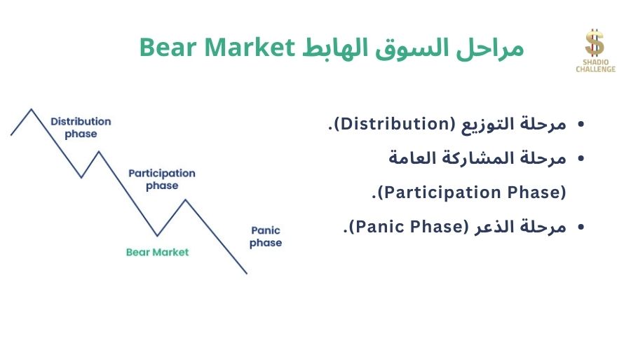 مراحل السوق الهابط Bear Market