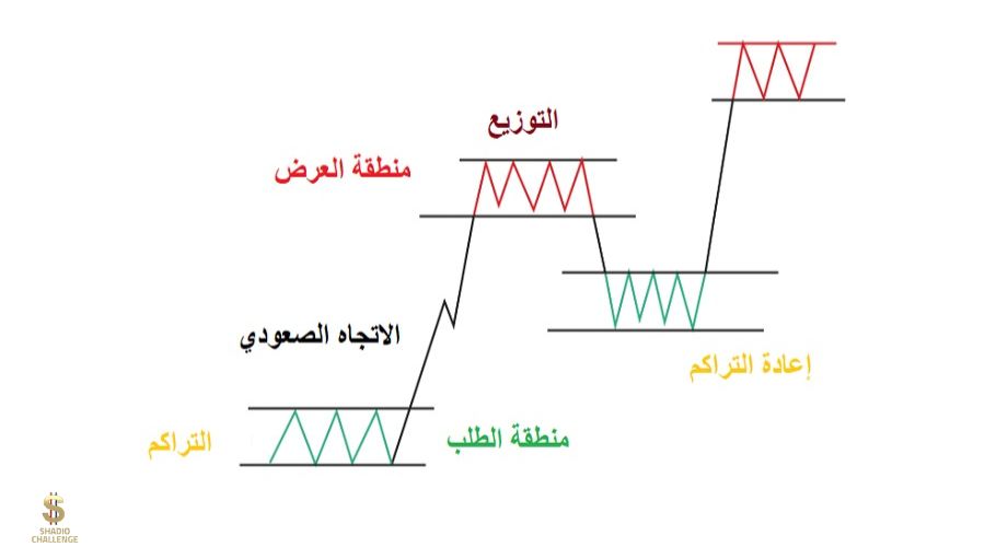 التراكم والتوزيع في مناطق العرض والطلب