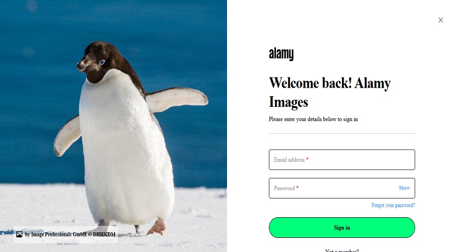 فهم الطلب في سوق التصوير على alamy