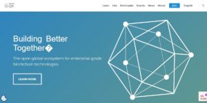 ما الفرق بين Hyperledger والبلوكتشين وأيهما أفضل لعملك؟