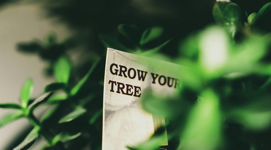 أفضل أسهم النصف الأول عام 2025