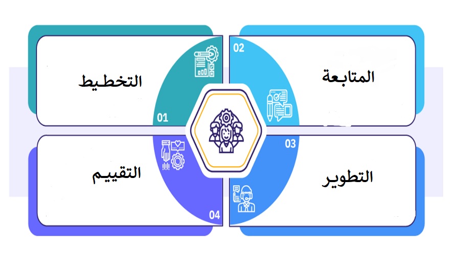 مراحل إدارة الأداء في المؤسسة