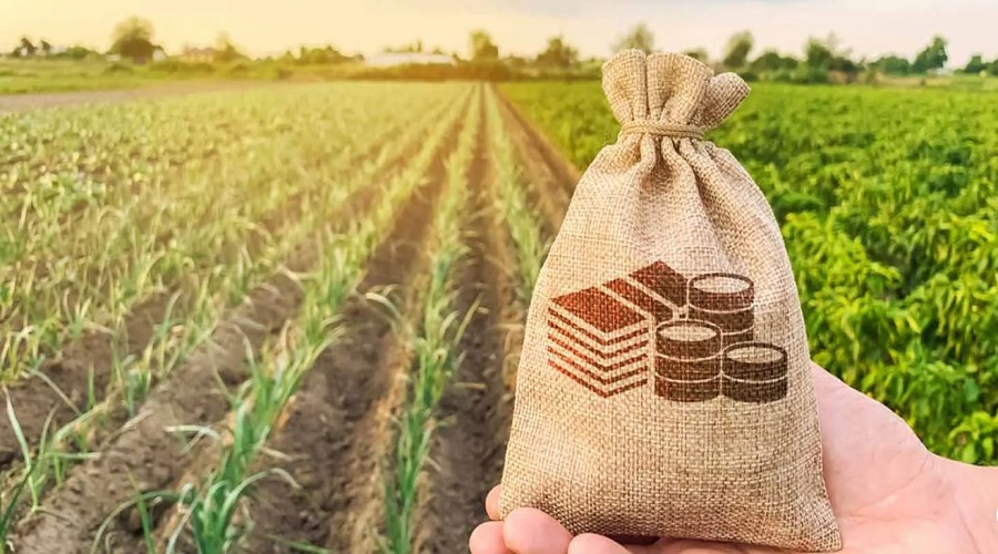 ما هي زراعة عوائد العملات المشفرة؟