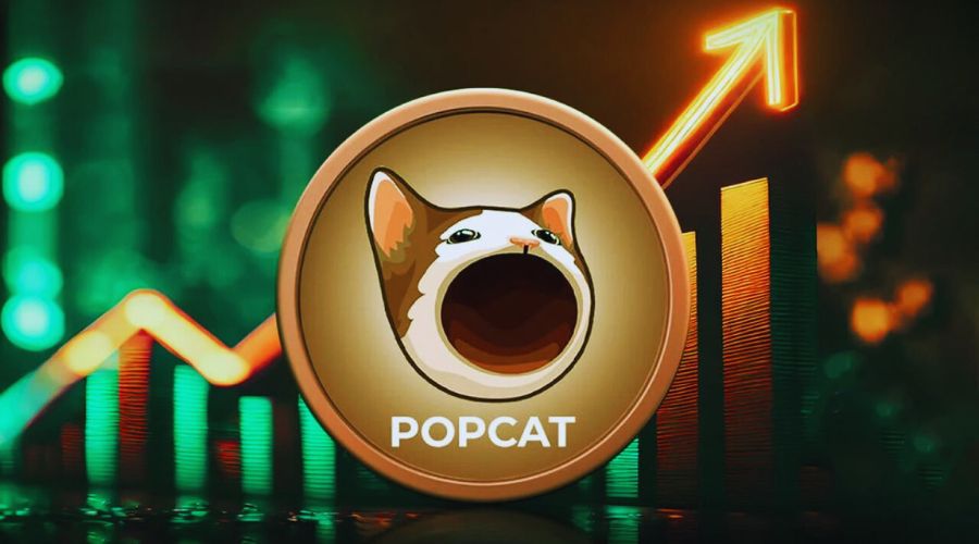 هل $POPCAT مناسب لك