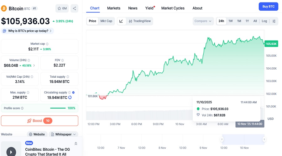 انهيار العملات المشفرة Crypto crash سعر البيتكوين ليوم 10 نوفمبر 2025