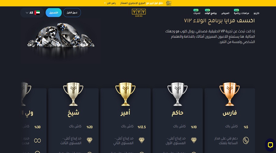 برنامج الولاء VIP في YYY Casino