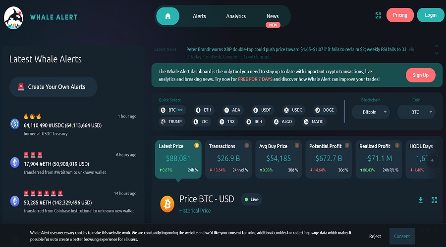 أداة Whale Alert لتتبع حيتان الكريبتو